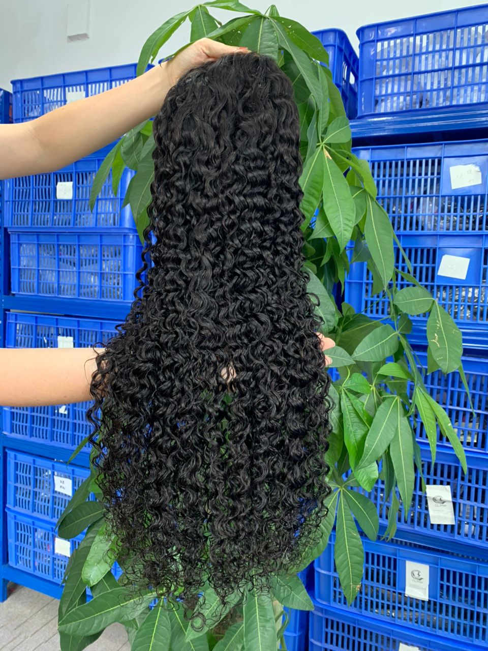 Raw 13x4 HD Lace Frontal Wigs
