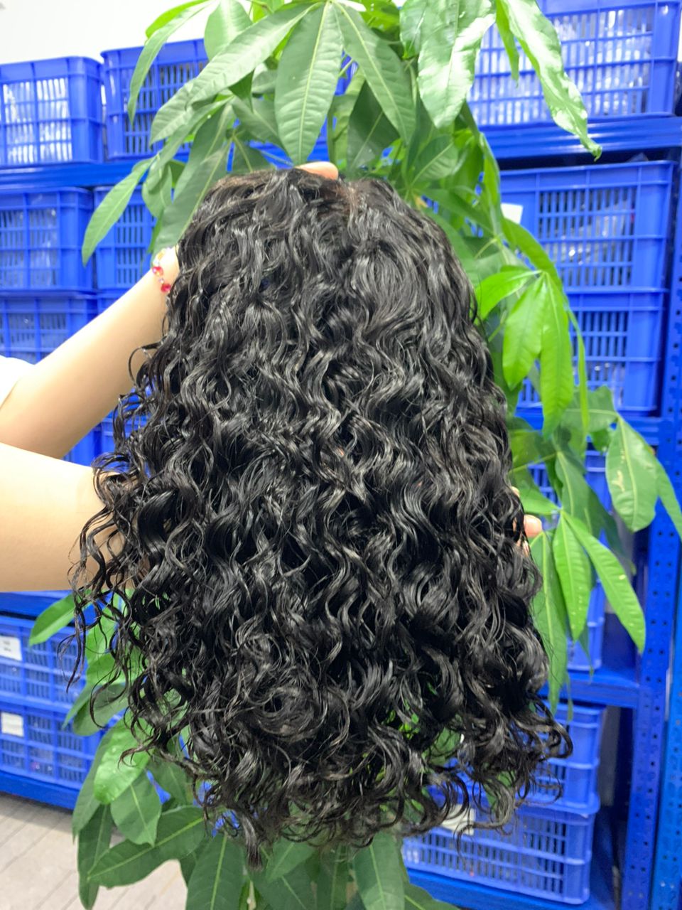 Raw 13x4 HD Lace Frontal Wigs